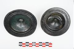 Foto von Bronzephalere (NHMW-PRAE-025823)